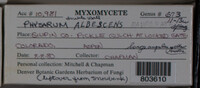 Image Associated With the Occurence